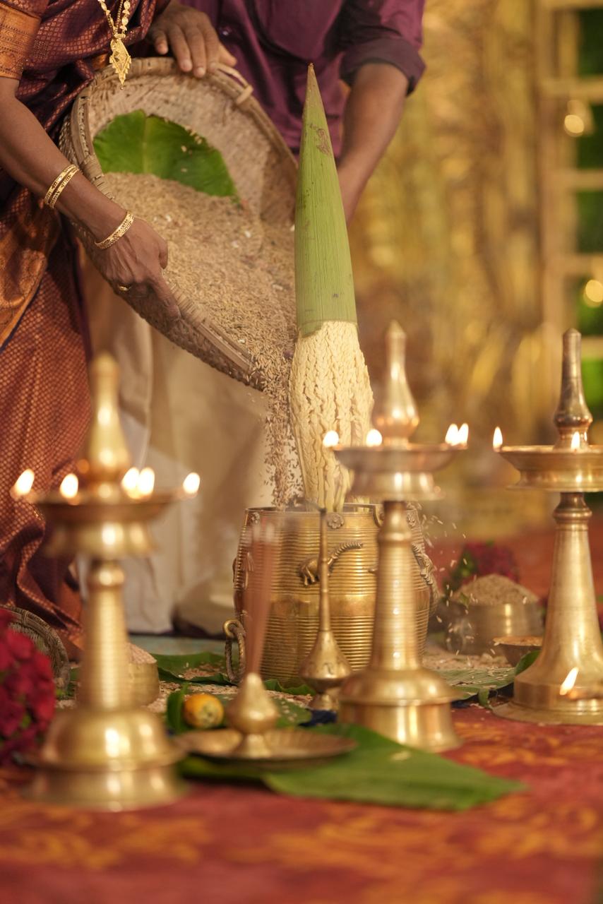 Premium Food Counter